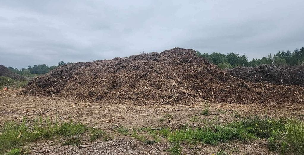 Excavation de cour arrière